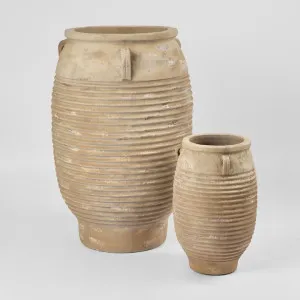 Apollo Planter Set of 2 Antique finish by Florabelle Living, a Plant Holders for sale on Style Sourcebook