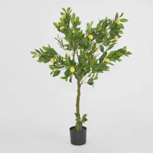 Lemon Tree Real Touch 120cm by Florabelle Living, a Plants for sale on Style Sourcebook