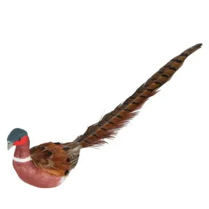 Pimlico Clip on Pheasant Brown by Florabelle Living, a Christmas for sale on Style Sourcebook