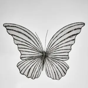 Sera Clip on Butterfly Black LGE by Florabelle Living, a Christmas for sale on Style Sourcebook