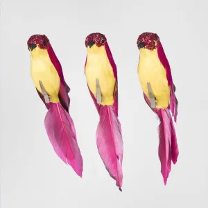 Flairine Clip on Bird Set of 3 Fuchsia by Florabelle Living, a Christmas for sale on Style Sourcebook