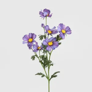 Cosmos Spray 85cm Dark Purple by Florabelle Living, a Plants for sale on Style Sourcebook