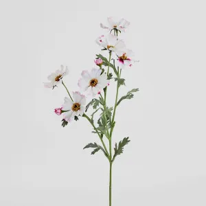 Cosmos Spray 85cm Pale Pink by Florabelle Living, a Plants for sale on Style Sourcebook