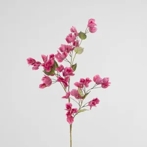 Bougainvillea Spray 97cm Dark Pink by Florabelle Living, a Plants for sale on Style Sourcebook