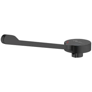 Oliveri Venice Care Handle Pin Lever For Basin Mixers - Matte Black SPB0228 by Oliveri, a Kitchen Taps & Mixers for sale on Style Sourcebook