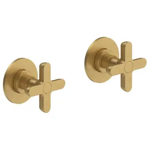 Fantini Icona Classic Wall Tap Set - Pure Brass PVD 53Q7R075B-4400R011A by Fantini, a Kitchen Taps & Mixers for sale on Style Sourcebook