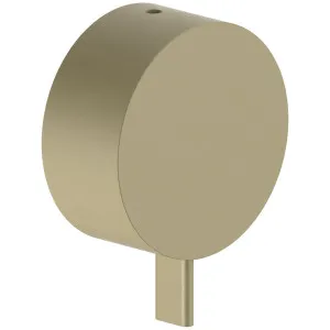 AboutWater AF/21 Wall Mixer - Matte British Gold PVD 27P6A763B-4400A763A by AboutWater, a Kitchen Taps & Mixers for sale on Style Sourcebook