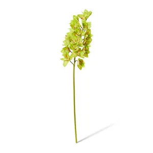 Cymbidium Lush Stem - 25 x 10 x 112cm by Elme Living, a Plants for sale on Style Sourcebook