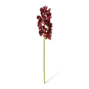 Cymbidium Lush Stem - 25 x 10 x 112cm by Elme Living, a Plants for sale on Style Sourcebook