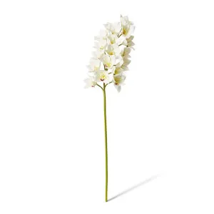 Cymbidium Lush Stem - 25 x 10 x 112cm by Elme Living, a Plants for sale on Style Sourcebook