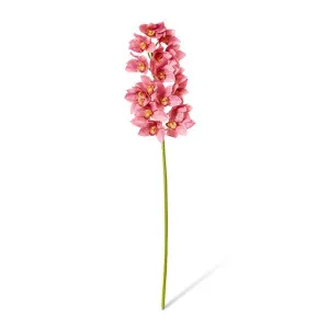 Cymbidium Lush Stem - 25 x 10 x 112cm by Elme Living, a Plants for sale on Style Sourcebook