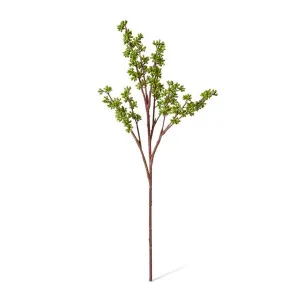 Eucalyptus Seeding Spray - 20 x 20 x 62.23 cm by Elme Living, a Plants for sale on Style Sourcebook