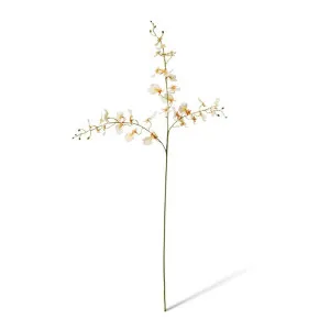 Dancing Orchid Spray - 23 x 10 x 97 cm by Elme Living, a Plants for sale on Style Sourcebook