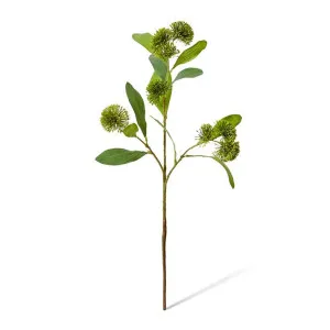 Sweet Gum Pom Pom Spray - 30 x 18 x 71 cm by Elme Living, a Plants for sale on Style Sourcebook