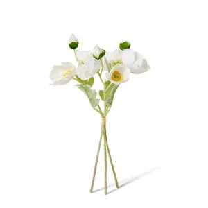 Poppy Bundle  - 9 x 9 x 35cm by Elme Living, a Plants for sale on Style Sourcebook