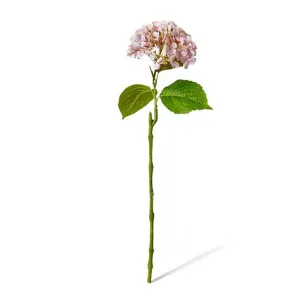 Hydrangea Bloom Stem - 25 x 20 x 60cm by Elme Living, a Plants for sale on Style Sourcebook