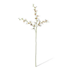Dancing Orchid Spray  - 23 x 10 x 97cm by Elme Living, a Plants for sale on Style Sourcebook