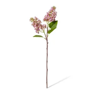 Lilac Spray - 7 x 18 x 66cm by Elme Living, a Plants for sale on Style Sourcebook