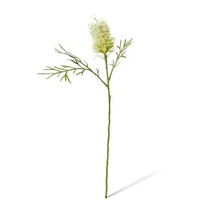 Grevillia Flower Sm Stem - 30 x 15 x 76cm by Elme Living, a Plants for sale on Style Sourcebook