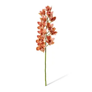 Cymbidum Grand Orchid - 20 x 20 x 95cm by Elme Living, a Plants for sale on Style Sourcebook