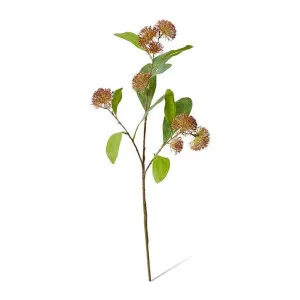 Sweet Gum Pom Pom Spray - 30 x 18 x 71cm by Elme Living, a Plants for sale on Style Sourcebook