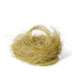 Pot Fill - 36 x 23 x 10cm by Elme Living, a Plants for sale on Style Sourcebook