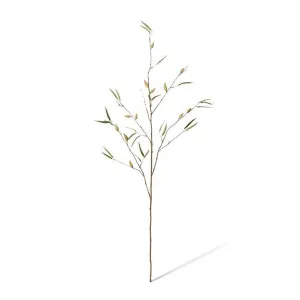 Pod Branch - 40 x 27 x 112cm by Elme Living, a Plants for sale on Style Sourcebook