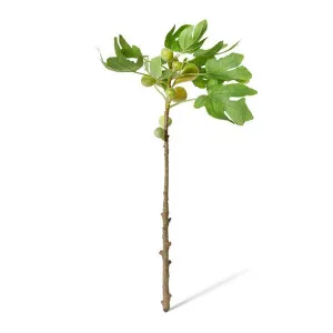 Fig Branch - 40 x 40 x 89cm by Elme Living, a Plants for sale on Style Sourcebook