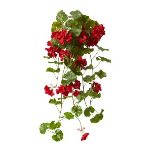 Geranium (Outdoor) Bush - 69 x 76 x 86cm by Elme Living, a Plants for sale on Style Sourcebook