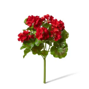 Geranium (Outdoor) Bush - 23 x 26 x 41cm by Elme Living, a Plants for sale on Style Sourcebook