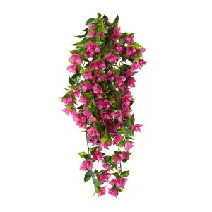 Bougainvillea (Outdoor) Hanging - 30 x 30 x 92cm by Elme Living, a Plants for sale on Style Sourcebook