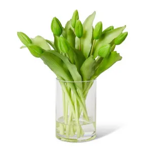 Tulip Bud Green - 23 x 23 x 31cm by Elme Living, a Plants for sale on Style Sourcebook