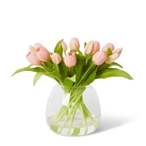 Tulip Petite Pink - 28 x 28 x 28cm by Elme Living, a Plants for sale on Style Sourcebook