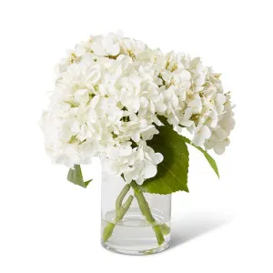 Hydrangea Mix White 18 x 18 x 30cm by Elme , a Plants for sale on Style Sourcebook