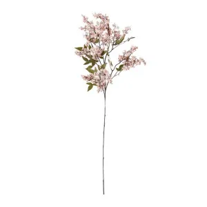 Pepper Berry Spray - 45 x 24 x 110cm by James Lane, a Plants for sale on Style Sourcebook