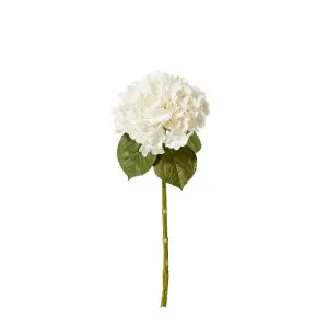 Hydrangea Classic Stem (Fresh Touch) - 30 x 20 x 52cm by James Lane, a Plants for sale on Style Sourcebook