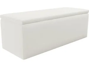 Leo Blanket Box Tribute Shell by James Lane, a Baskets & Boxes for sale on Style Sourcebook