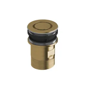 Sussex Taps Basin Plug and Waste Living Brushed Brass SXBNPW-25 by Sussex Taps, a Traps & Wastes for sale on Style Sourcebook