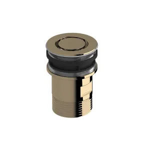 Sussex Taps Basin Plug and Waste Living Polished Brass SXBNPW-24 by Sussex Taps, a Traps & Wastes for sale on Style Sourcebook