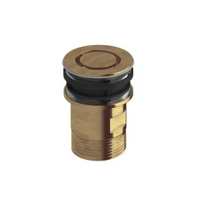 Sussex Taps Basin Plug and Waste Living Tumbled Brass SXBNPW-23 by Sussex Taps, a Traps & Wastes for sale on Style Sourcebook