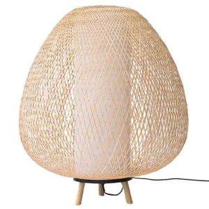 Ay Illuminate Twiggy Egg Floor Lamp - Natural 750-101-03-FL by Ay Illuminate, a Lighting for sale on Style Sourcebook