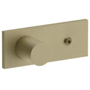 Fantini Venezia Wall Diverter Mixer without Diverter Handle - Matte British Gold PVD 29P6N385SB-19006185A by Fantini, a Showers for sale on Style Sourcebook