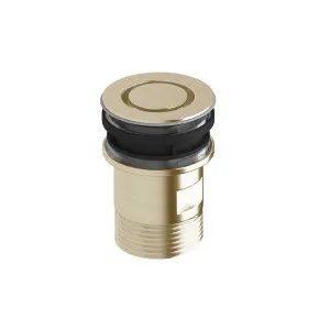 Sussex Taps Basin Plug and Waste LUXPVD® Brushed Platinum Gold SXBNPW-63 by Sussex Taps, a Traps & Wastes for sale on Style Sourcebook