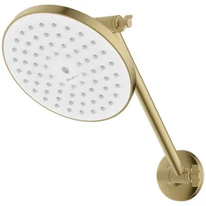 Oliveri Rome High Rise Shower - Classic Gold RO140011CG by Oliveri, a Showers for sale on Style Sourcebook