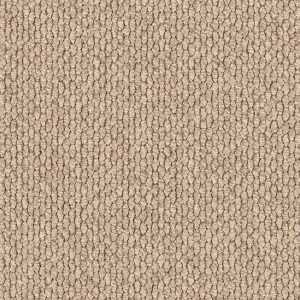Andes Peak - Valera 2455 by EC Carpets, a Loop for sale on Style Sourcebook