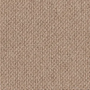 Andes Peak - Rio 2451 by EC Carpets, a Loop for sale on Style Sourcebook
