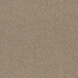 Birdwood - Cromer 2955 by EC Carpets, a Loop for sale on Style Sourcebook