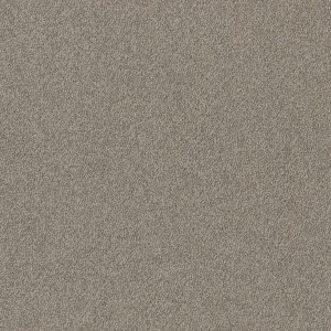 Birdwood - Hannaford 2953 by EC Carpets, a Loop for sale on Style Sourcebook