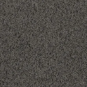 Bouclé - Coco 4336 by EC Carpets, a Loop for sale on Style Sourcebook