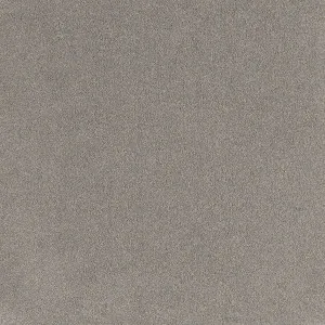 Coco Bliss - Elation 9024 by EC Carpets, a Twist for sale on Style Sourcebook